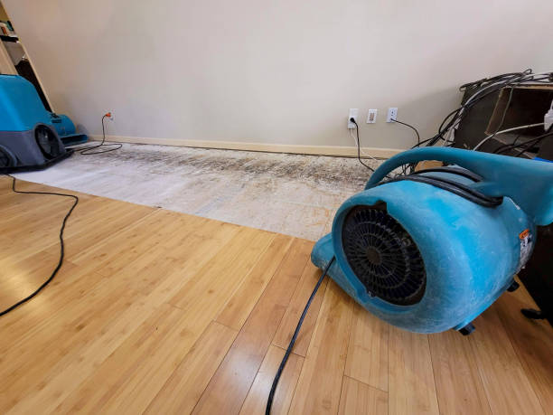 Professional Burst Pipe Water Damage technician working in Howard City, MI
