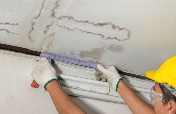 Affordable Burst Pipe Water Damage solutions in Howard City, MI